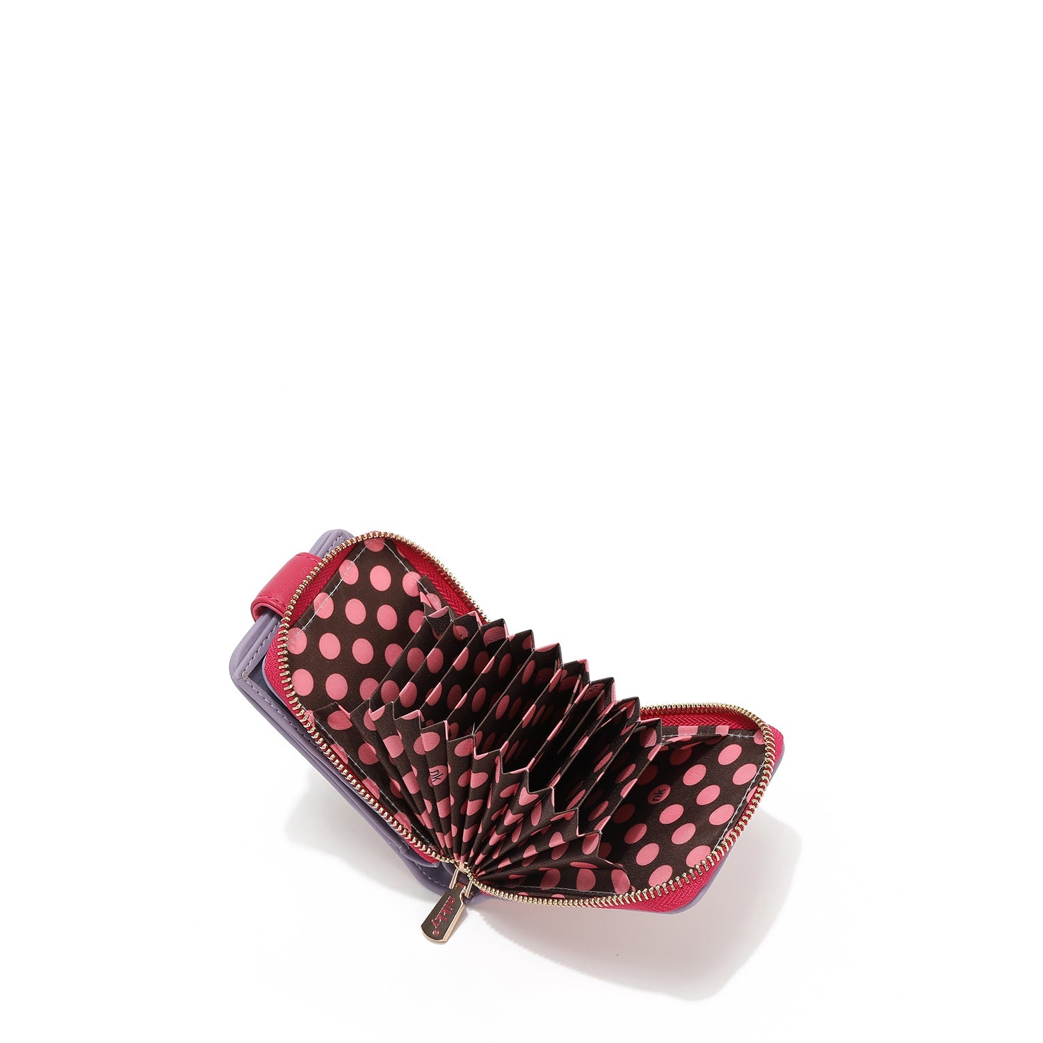 CARTERA PLEGABLE COMPACTA (BEST BUDDIES)