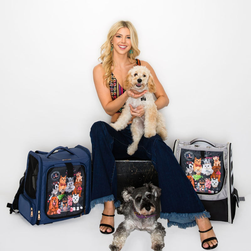 GRAY PET CARRIER BACKPACK
